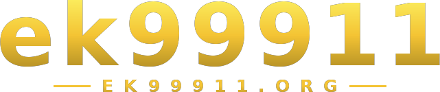 ek99911 logo
